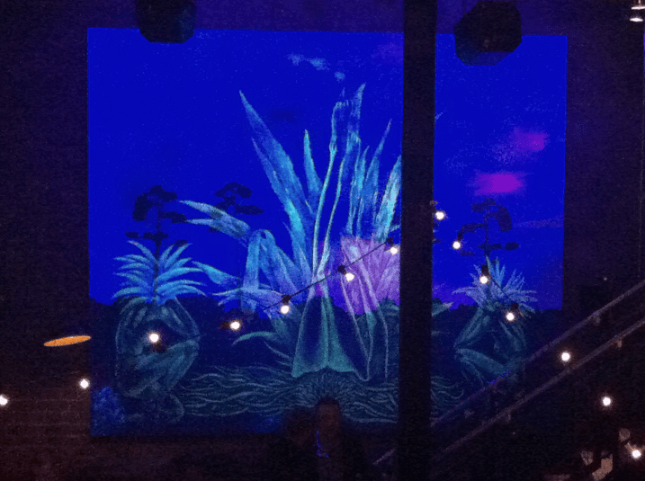 Aviary Photo_130292875690856528