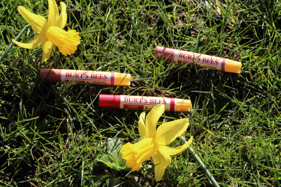 Burt's Bees Lip Shimmers