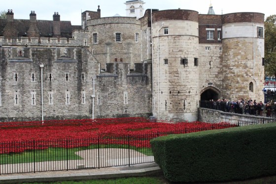 Aviary Photo_130590017065797600