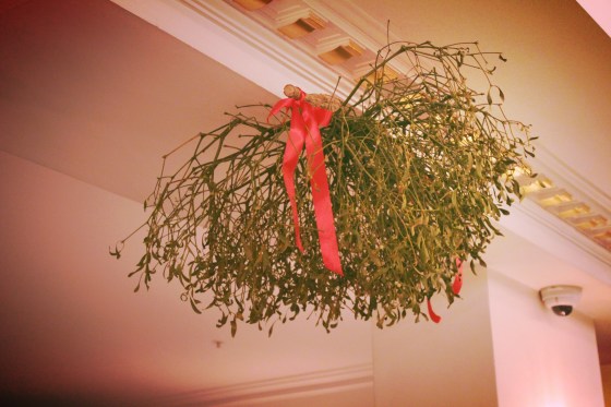 mistletoe