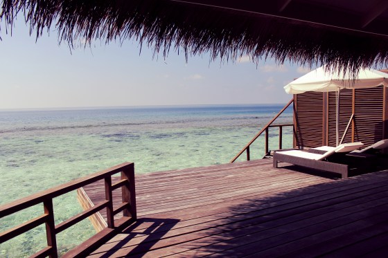 Aviary Photo_130666948040825508