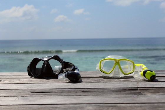 Aviary Photo_130675591328824285